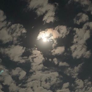 Meet your Posher, Haley g.